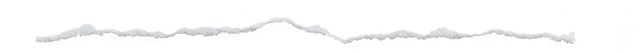 Ripped Paper Line Texture